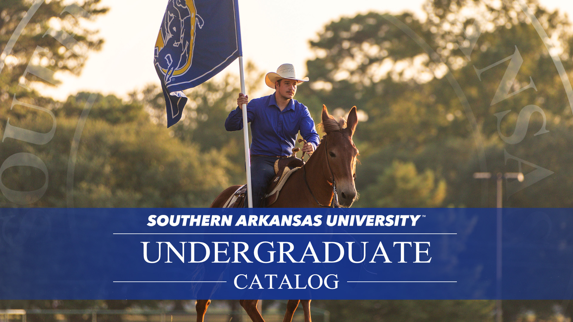 Man riding a mule, carrying the SAU flag